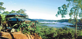 Daintree Cloud 9