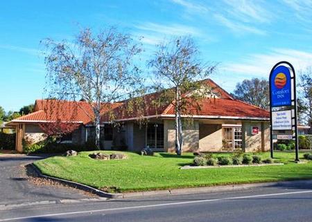 Comfort Inn Silver Birch