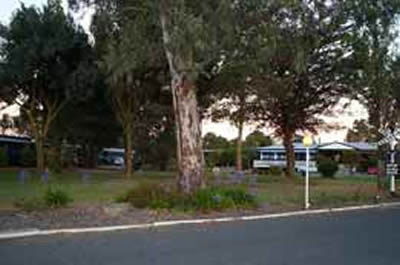 Barossa Junction Motel
