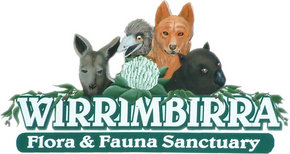 Wirrimbirra Sanctuary - Accommodation VIC